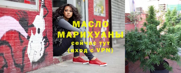 индика Лагань