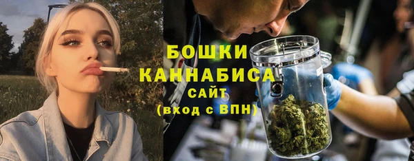 индика Лагань