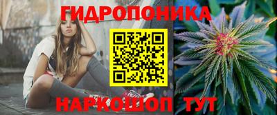дмт Канаш